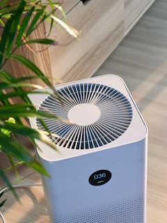 Best Air Purifiers